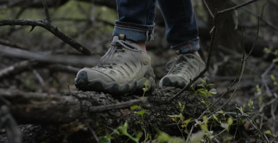 Someone walking over a tree trunk wearing white sneakers