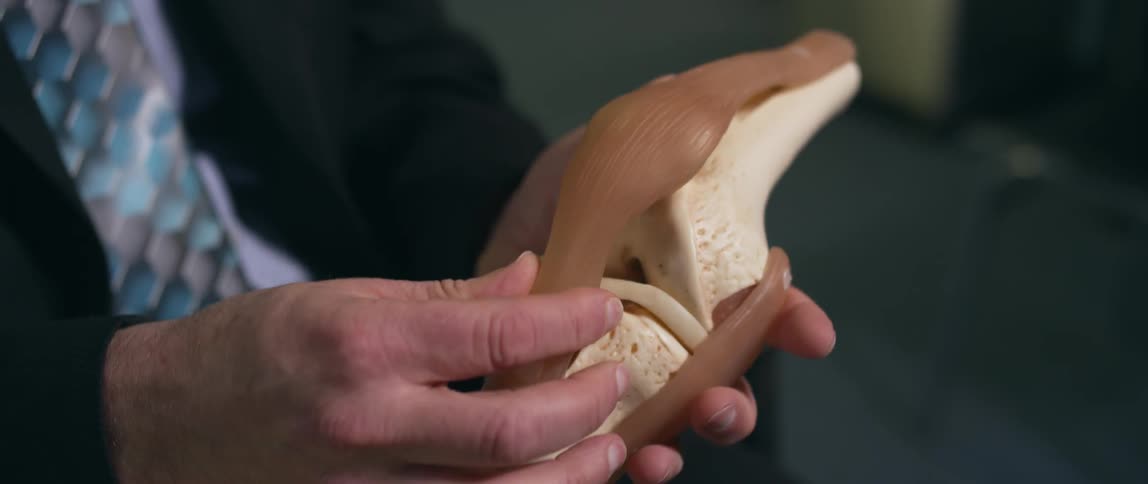 Person touches a plastic model attached to a base