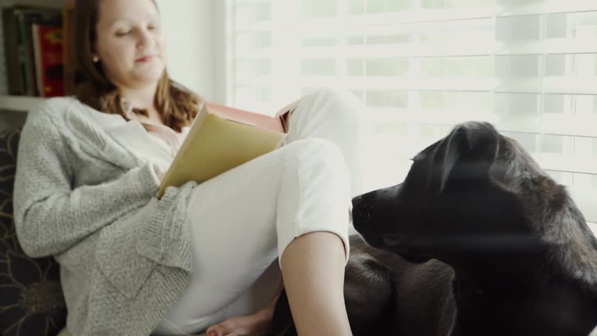 A woman sits down with her dog to read a book