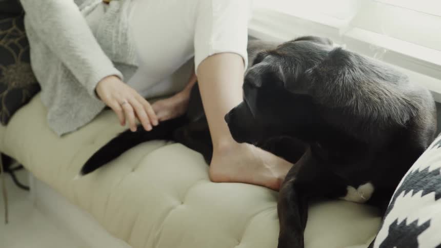 Woman Pets Dog's Tail and Smiles