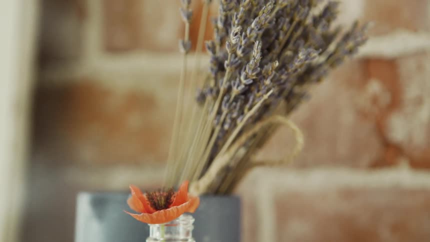 A Red Poppy and Dried Lavender
