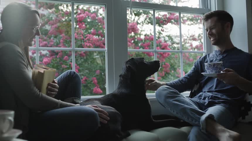 Man and woman smile and pet a dog