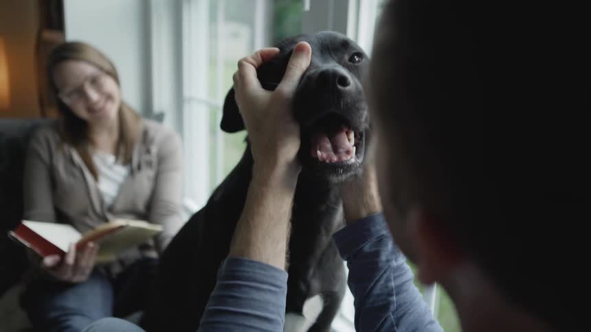 A woman looks on as her husband pets the dog