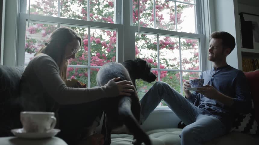 Dog Climbs Up to Be With His Masters