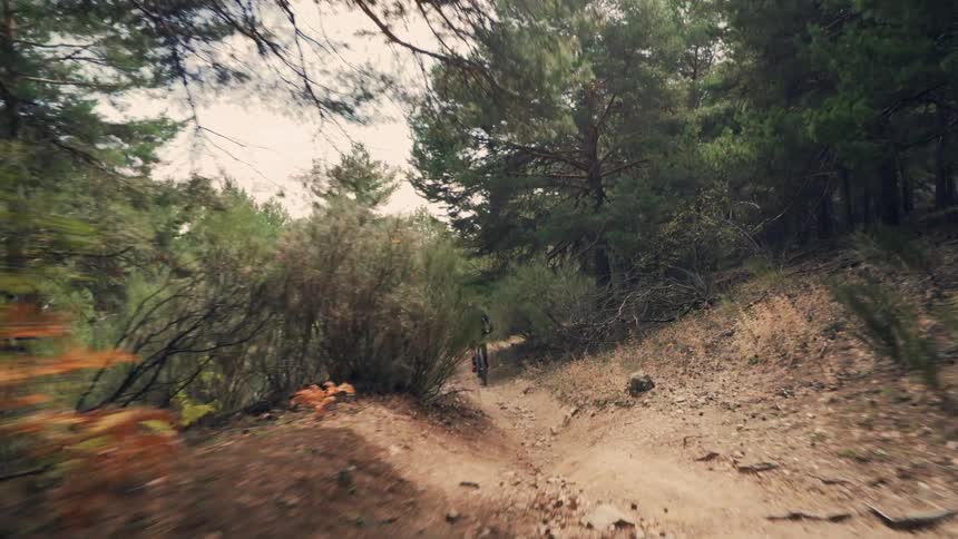 Man rides a bicycle on a path in the forest
