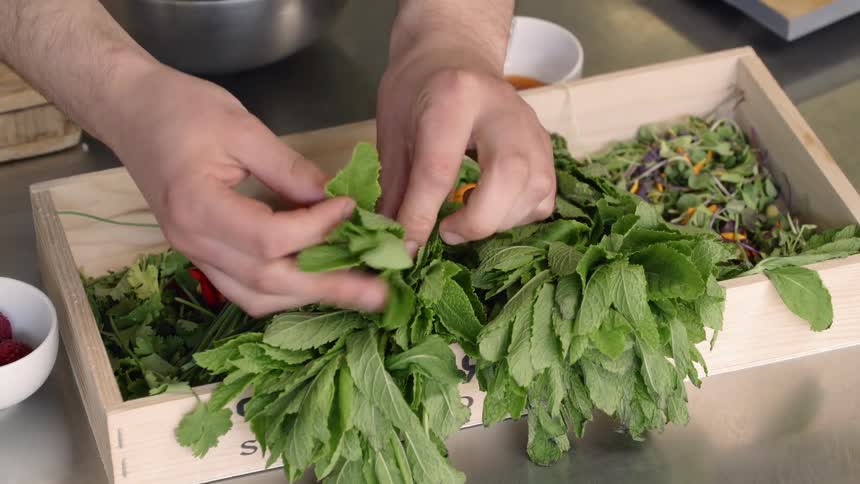 A chef cuts the leaves off fresh herbs