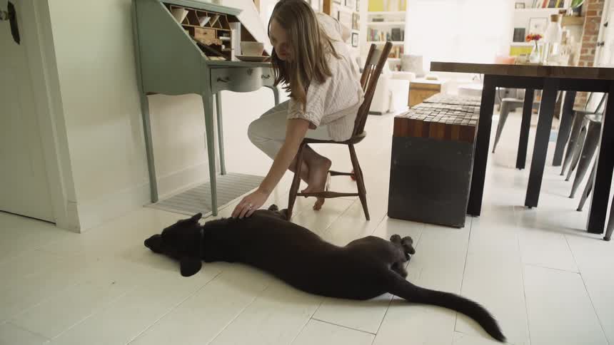 Woman Pets Dog by Her Desk