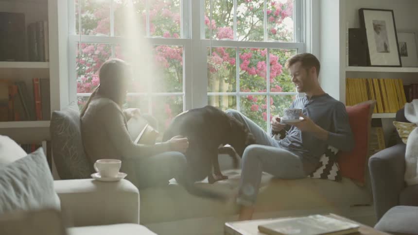 A dog climbs up between a man and woman on a window seat