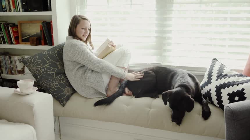 Woman sits on a couch with a book petting a dog