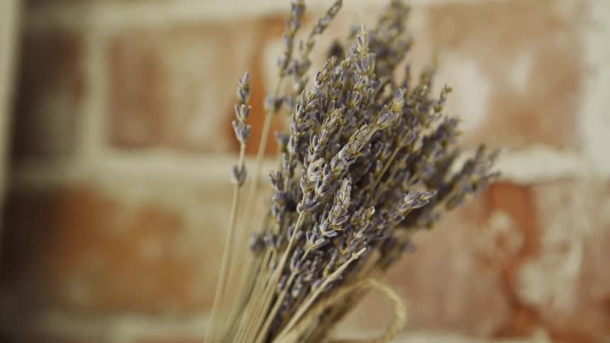 Bouquet of weeds next to a brick wall