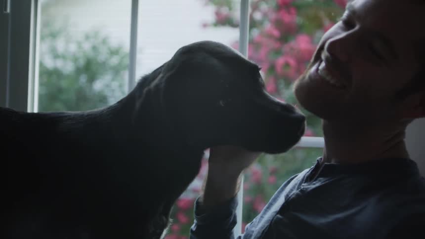A couple have fun with their dog by the window