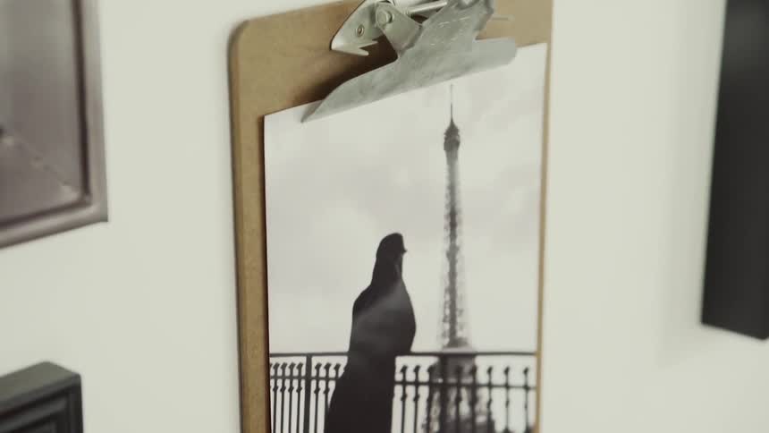 Clipboard shows a picture of a bird sitting on a railing