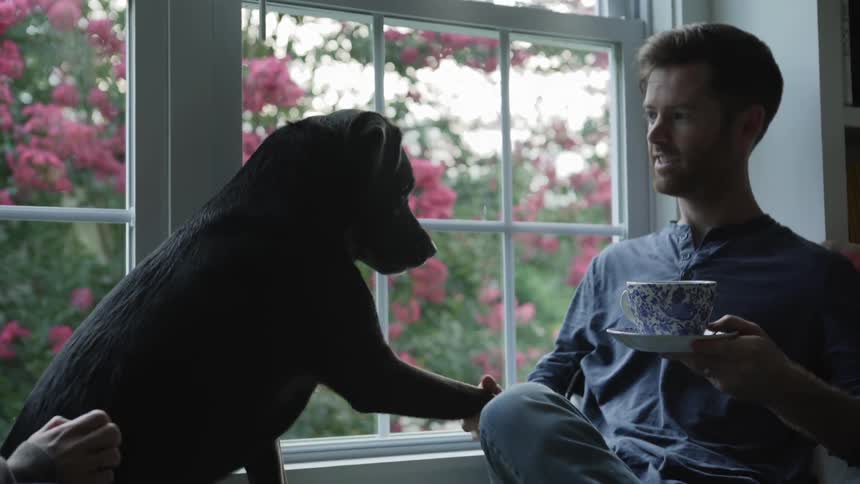 A man sits next to a window on a sunny day holding a tea cup and shaking a dog's paw