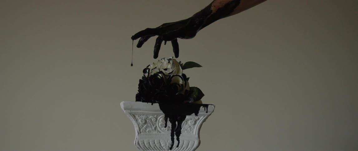 Abstract Hand Dripping Black on White Rose Flowers