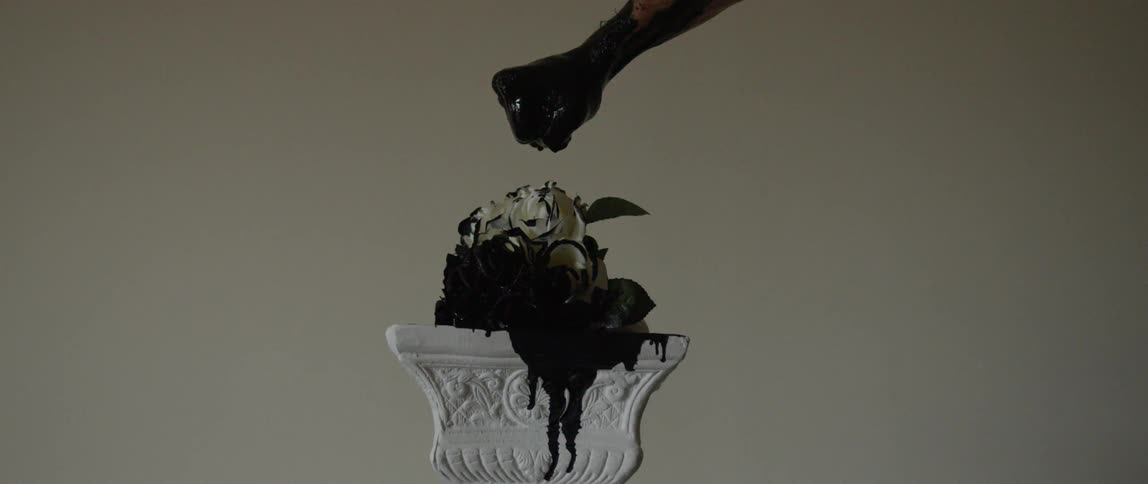 A person holds their hand out and drips a black liquid on a white rose