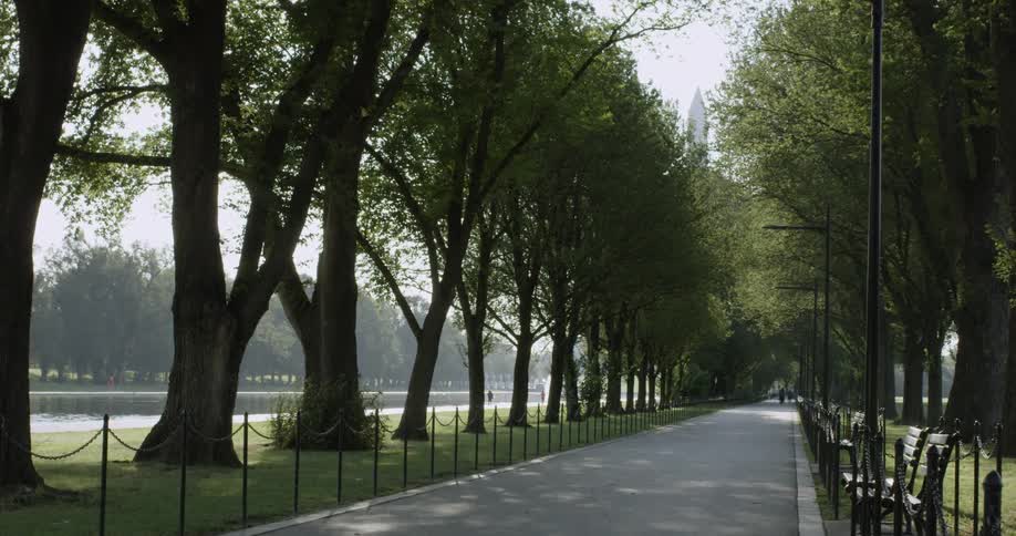 Washington DC Mall Park Pathway with Trees