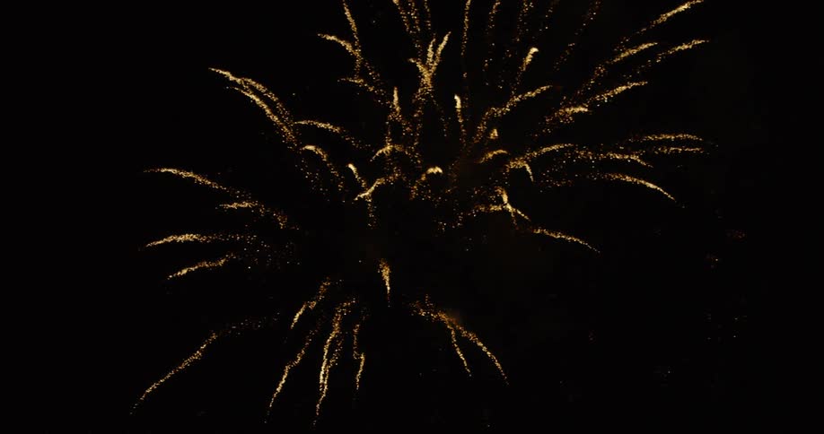 Fireworks exploding in the night sky