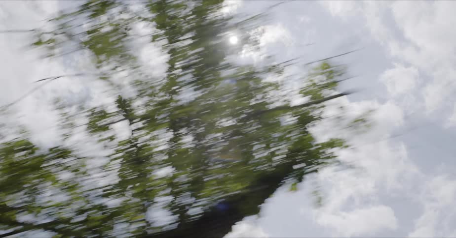 Trees and grass line a road on a cloudy day