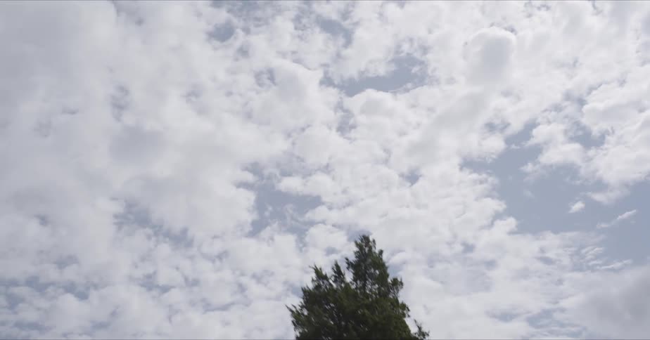 Clouds float above trees in a blue sky