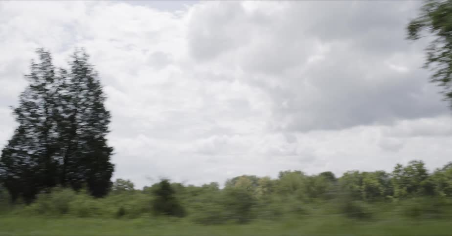 Passing green trees and grass along highway on cloudy day