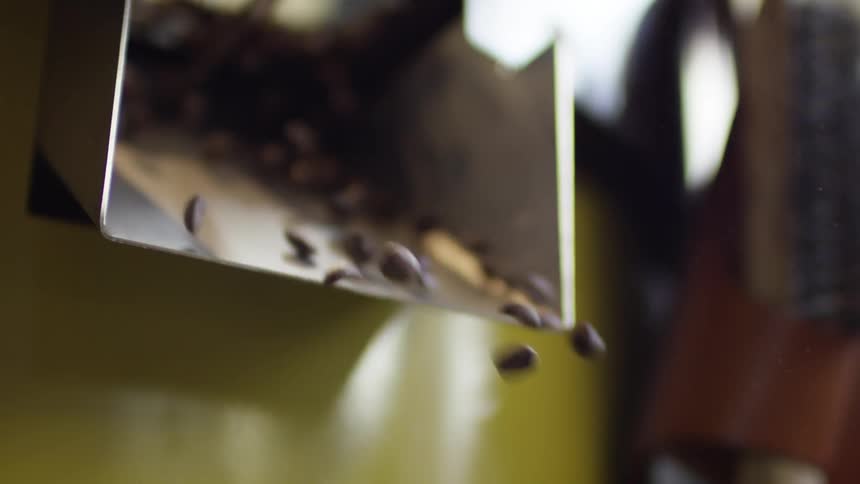 Coffee beans pouring from a metal chute