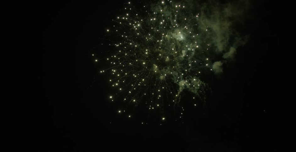 Fireworks exploding in a night sky