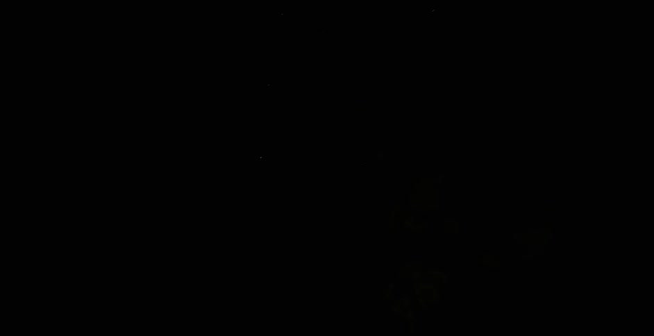 Fireworks light up the night sky