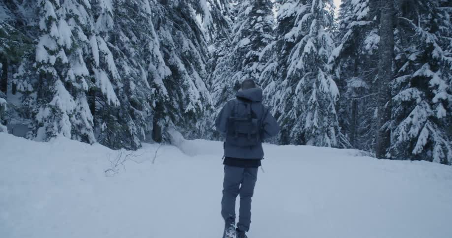 A man hikes in a snowy forest