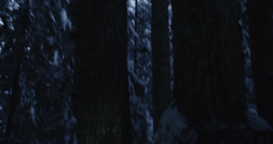 A hiker shines a flashlight in snowy woods at night