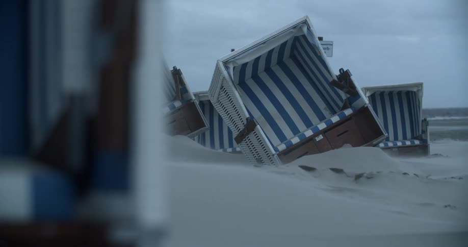 Foggy Coastal Beach Scenics