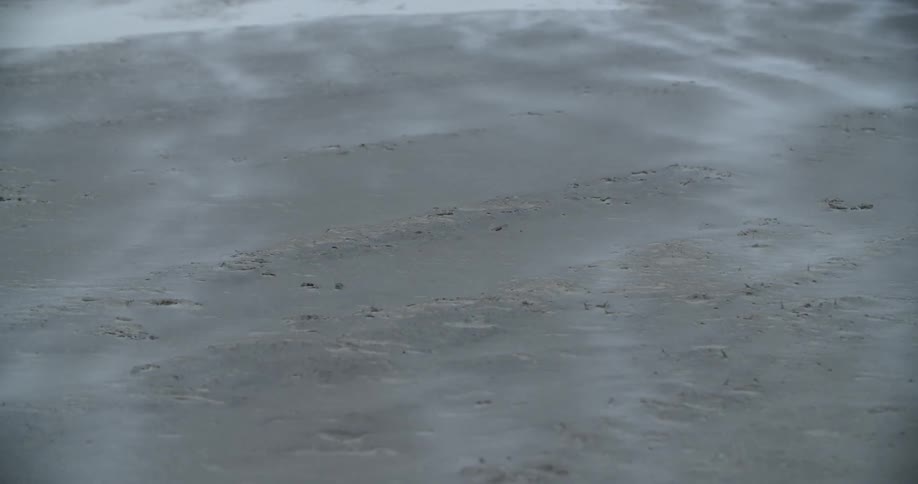 The fog is rolling over the sand