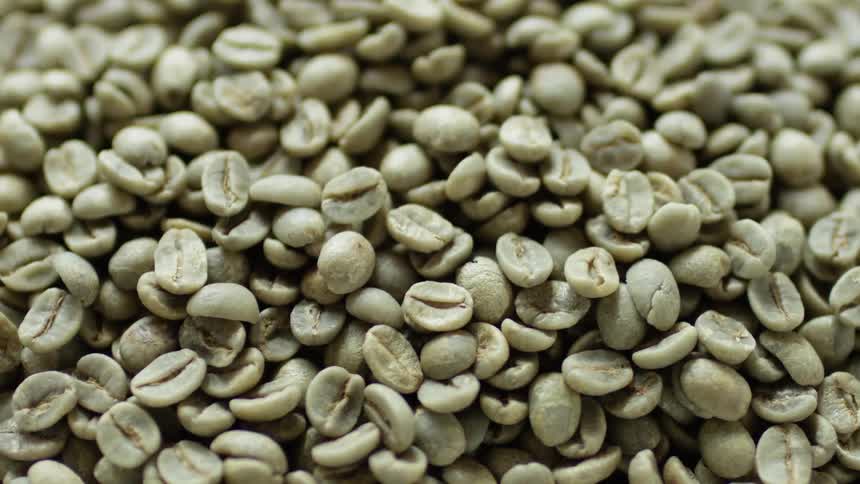 Close up shot of coffee beans