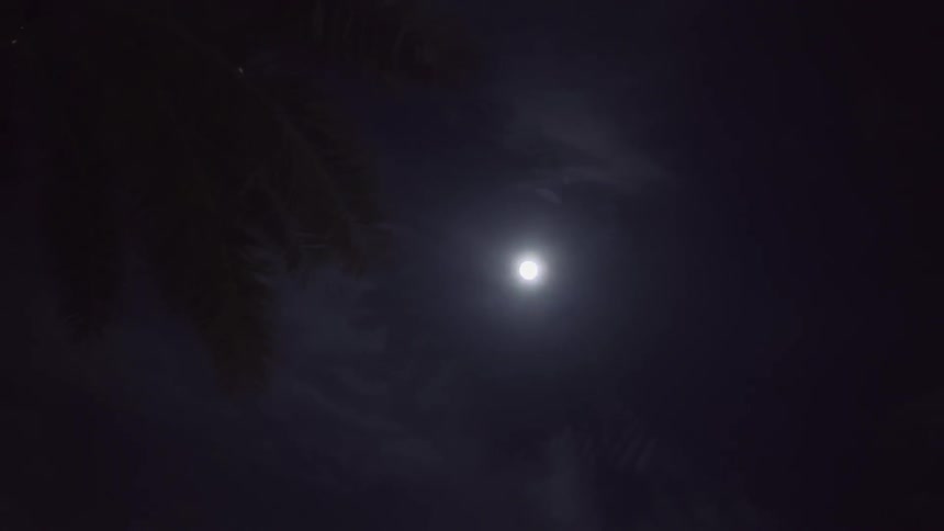 A view of a full moon in a cloudy sky through the top of a barely visible forest