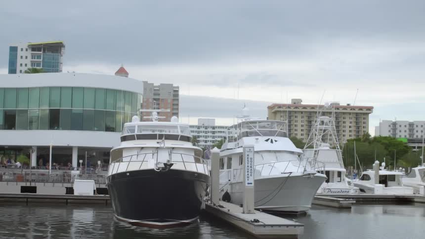 Boats at the dock in a marina