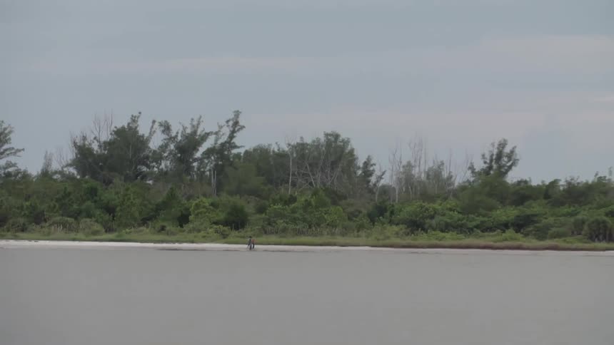 People walking along a beach far away