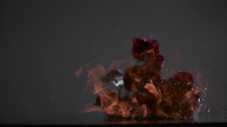 The bunch of roses on fire fall to the ground burning