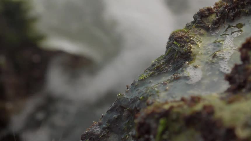 Water splashes onto mossy rocks