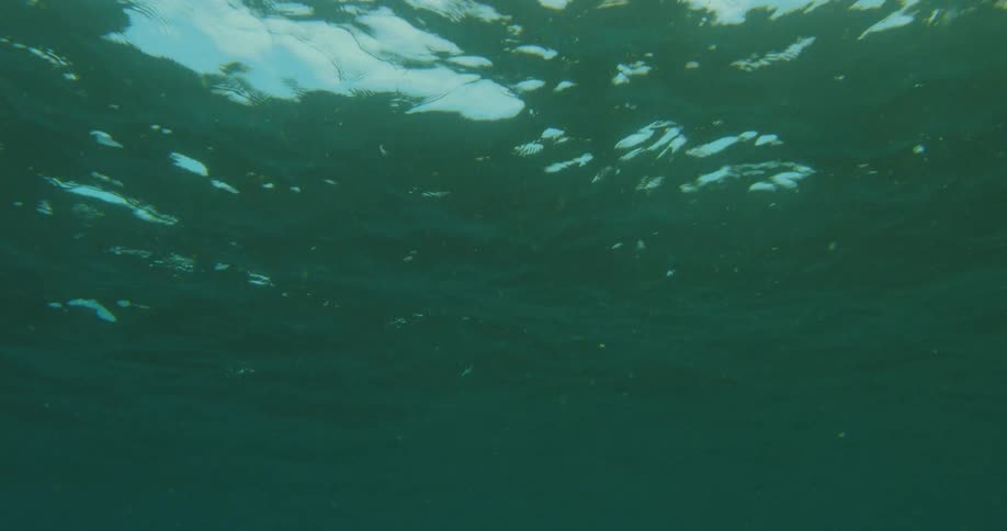 The green water moves slowly