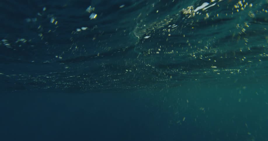 Diving Underwater