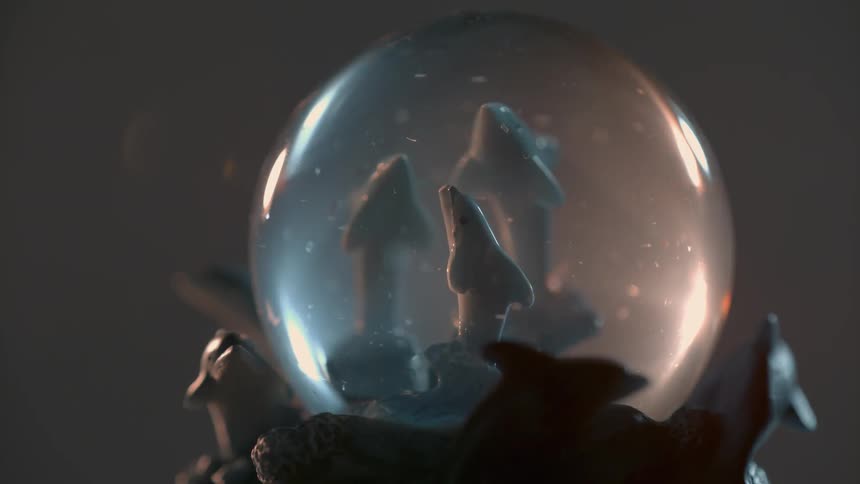 Dolphin figurines are inside a snow globe