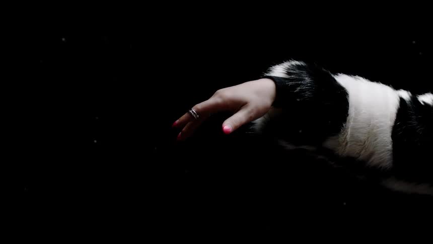 Bits of fur fly off the black and white coat of a woman standing in the dark and moving her arm