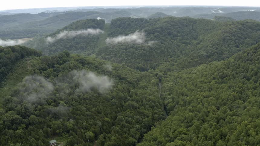 The mountains are covered with many trees