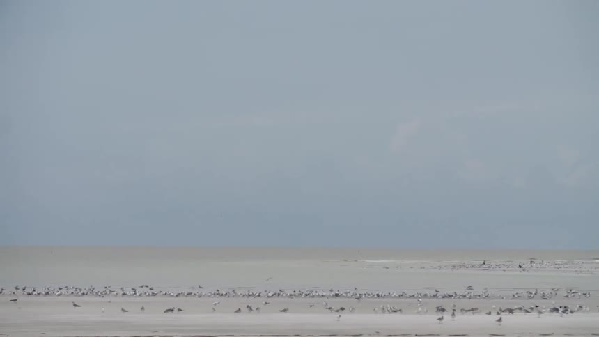 A scenery at the beach coastal