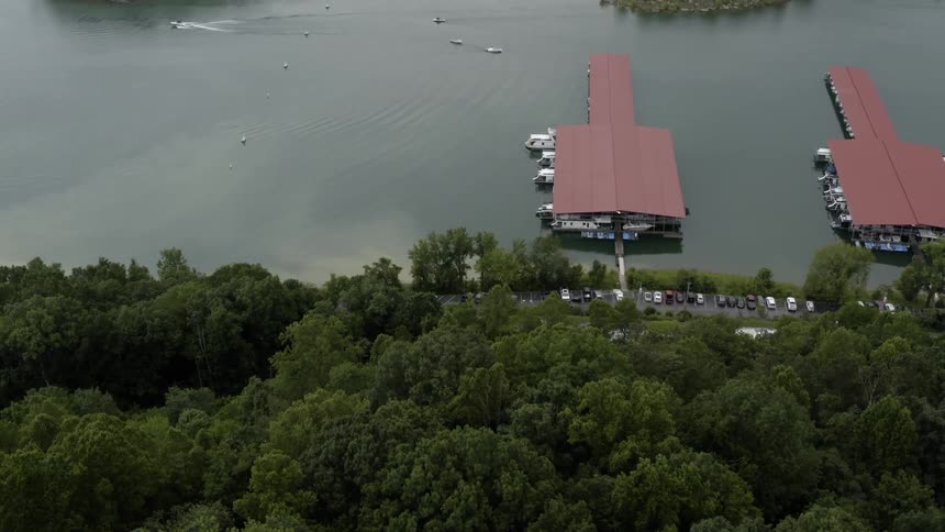 Vast area of trees next to a body of water and large docks
