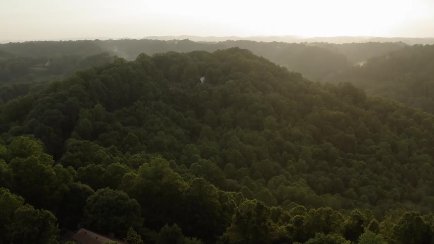 Sun shines over a large area of trees