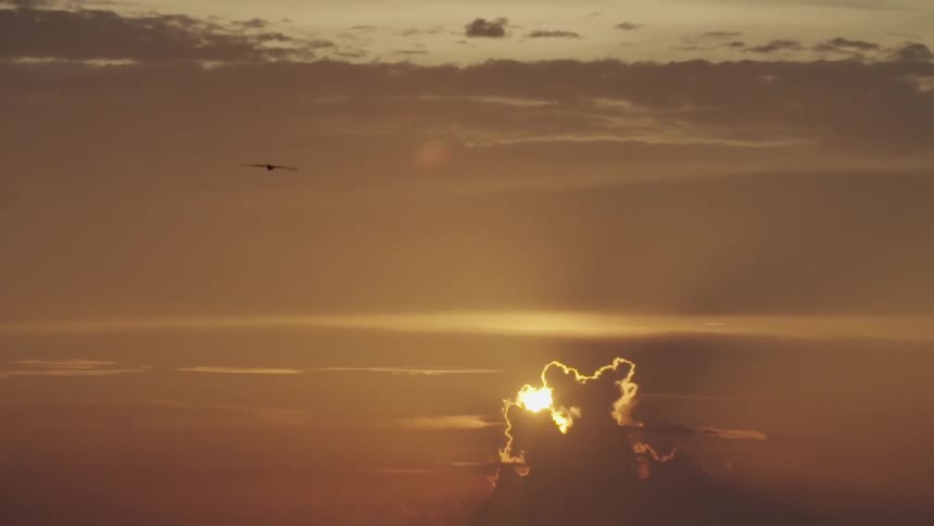 A bird is flying as the sun is setting