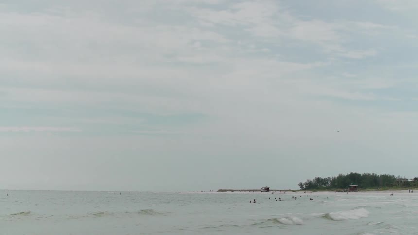 Waves rolling towards the beach as people wade in the water and a bird flies by