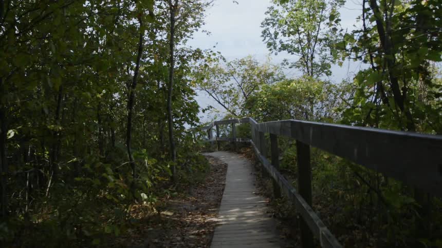 The trail is lined with a wooden fence