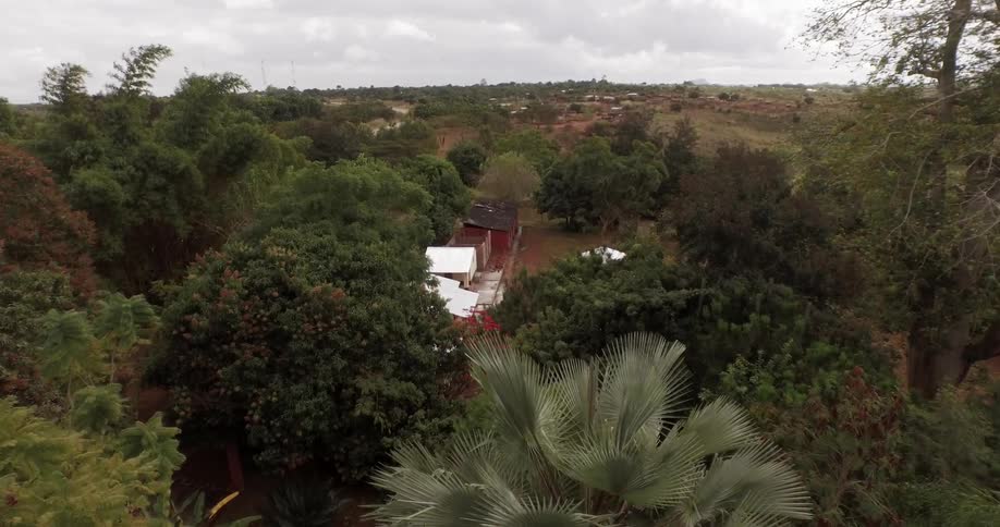Aerial view of some buildings in an urban area