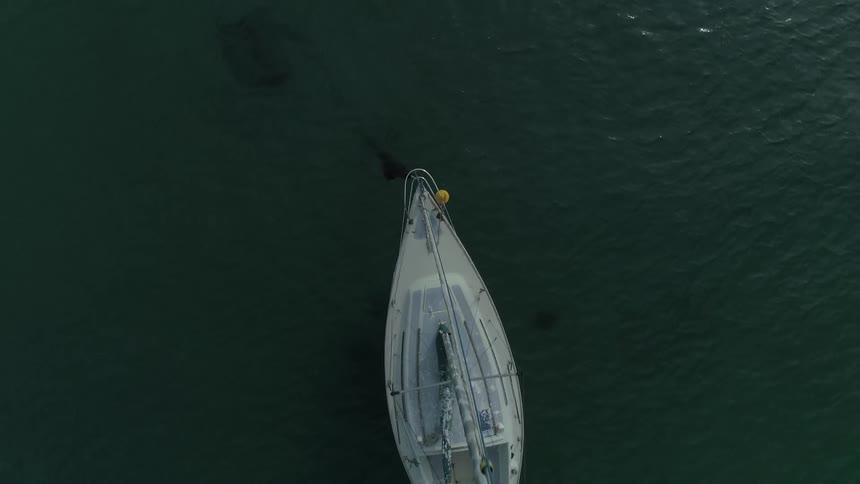 A sailboat floats in the lake